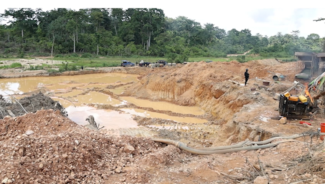 Galamsey in forest reserves increased from 5,252 in 2021 to 8,923 hectares in 2024 – Forestry Commission